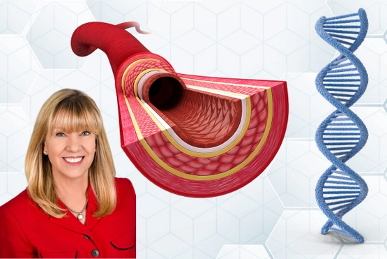 image of the layers of an artery and Dr. Milewicz in a red suit
